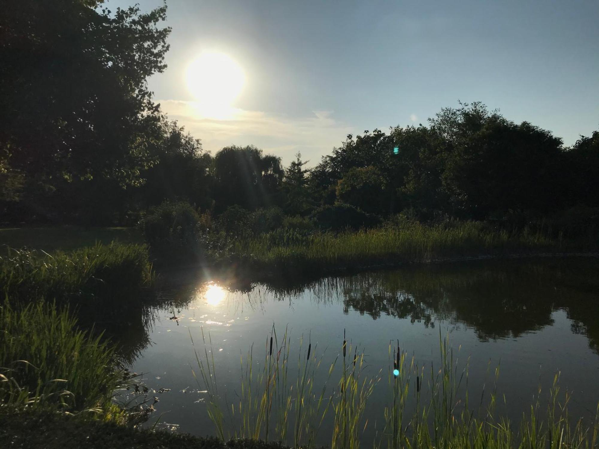 Imagine B&B Wortegem Kültér fotó