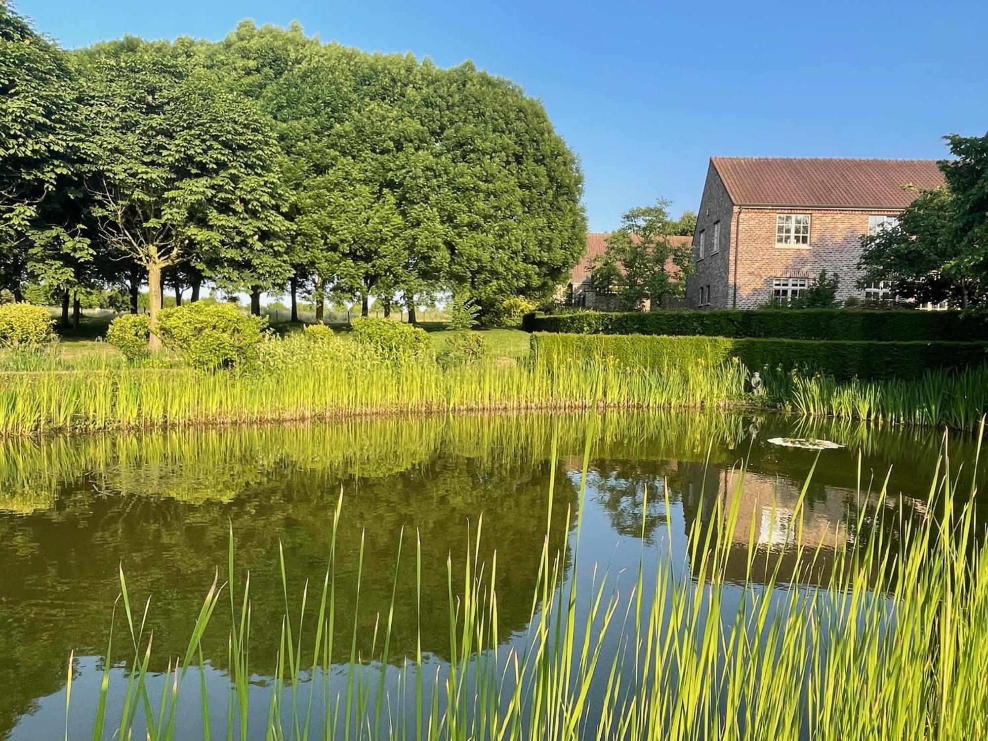 Imagine B&B Wortegem Kültér fotó