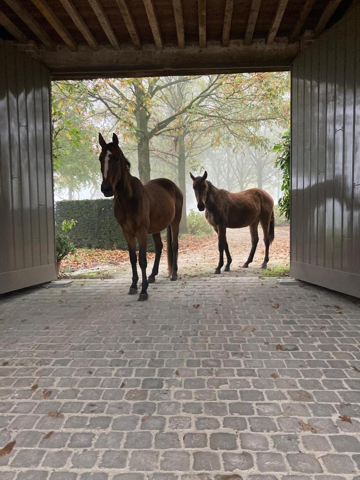 Imagine B&B Wortegem Kültér fotó
